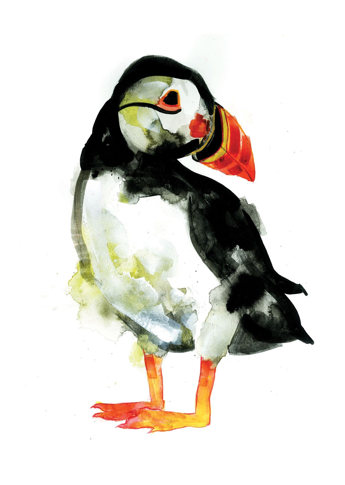 A520 Puffin