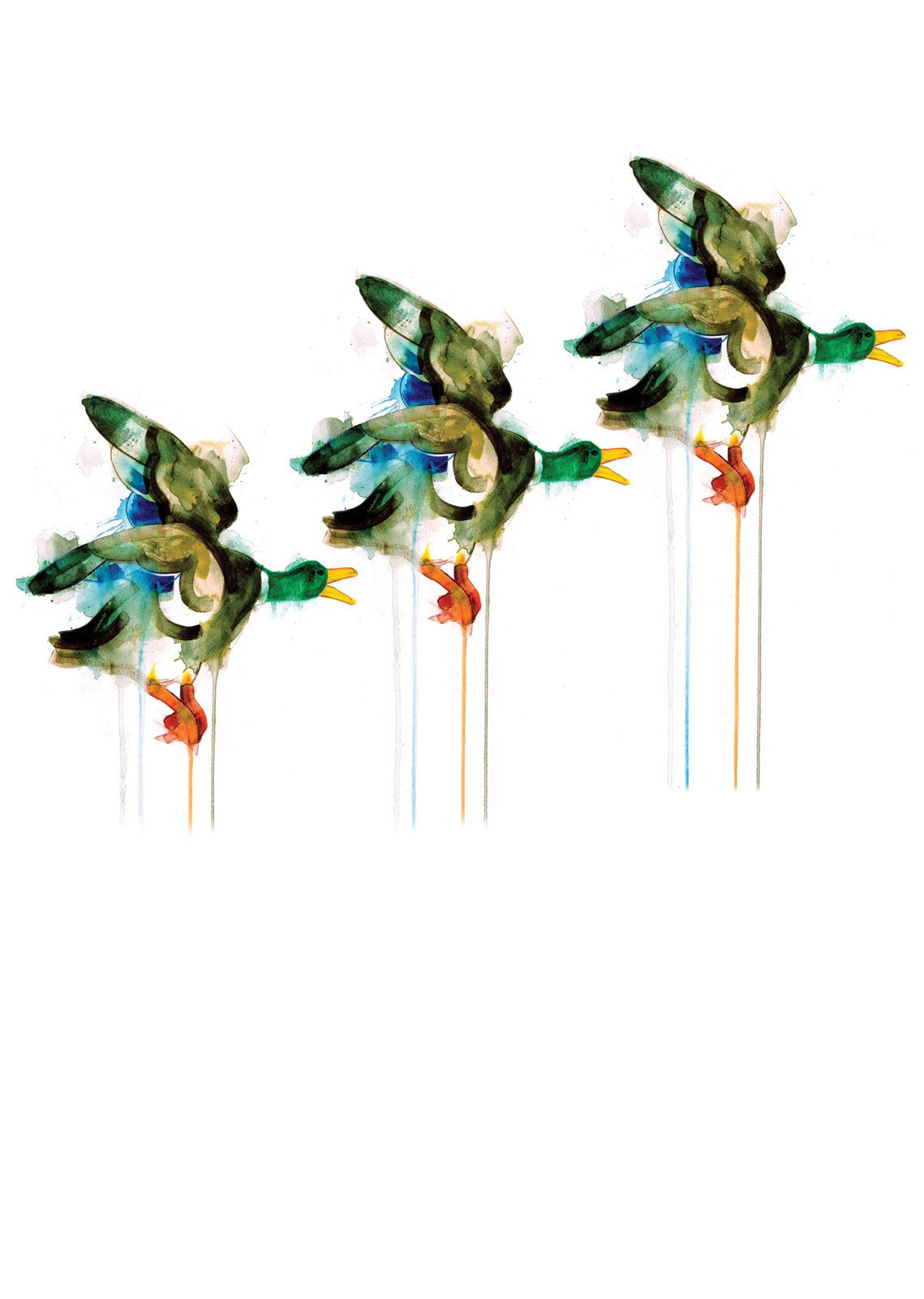 A523 Flying Ducks