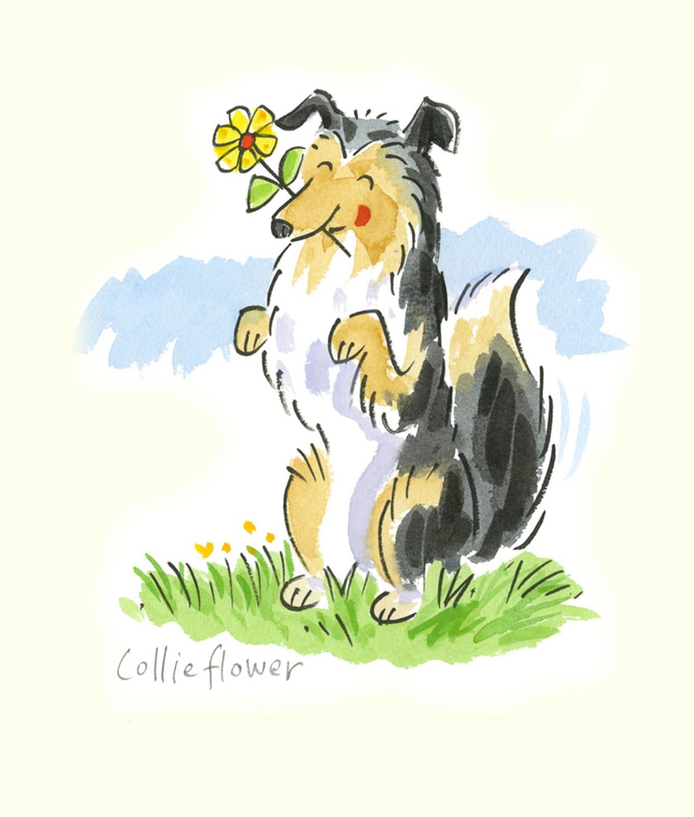 A928 Collie Flower