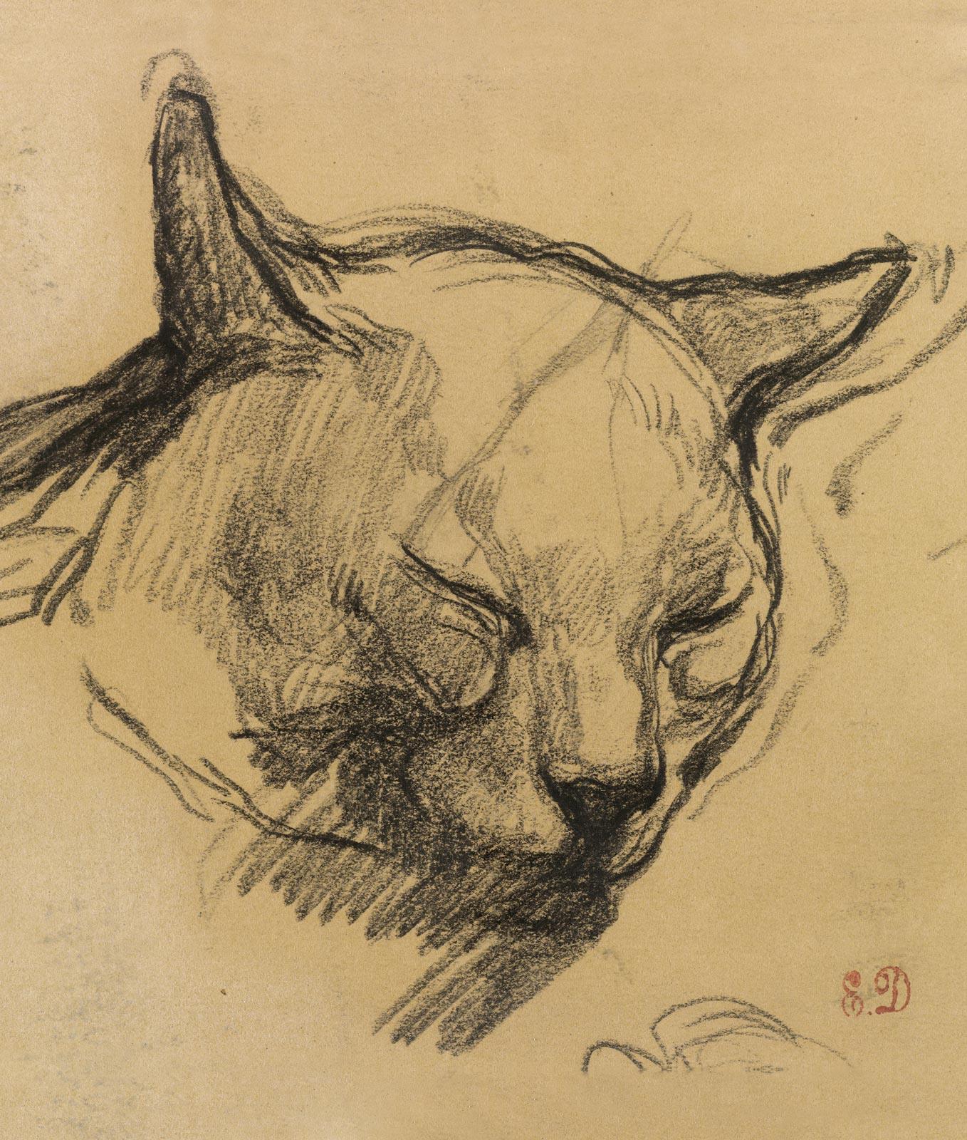 B100 Study of the Head of a Cat by Delacroix