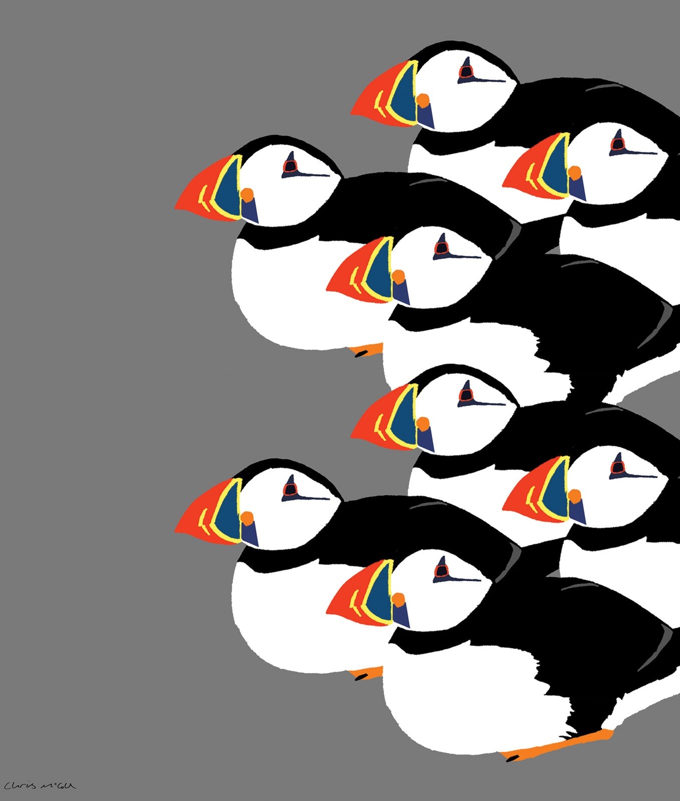 C302 Puffins