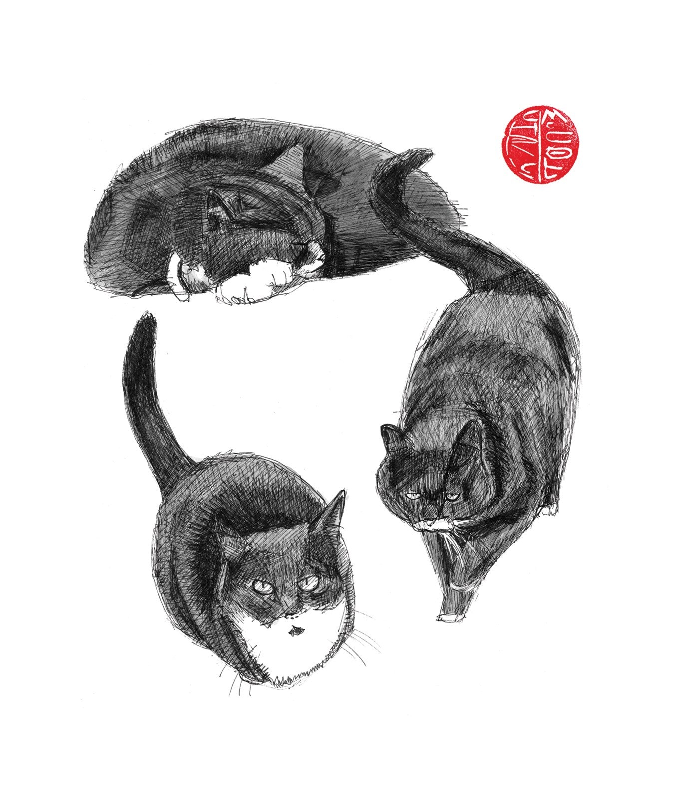 C303 The Cat Circle