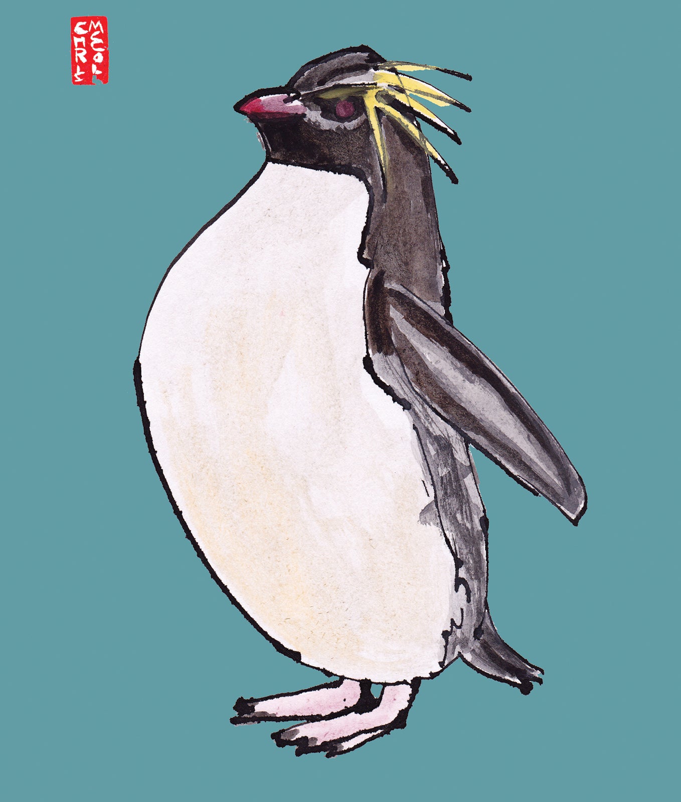 C318 Rockhopper Penguin