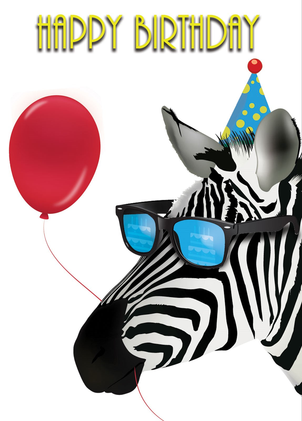 D312 Zebra Birthday