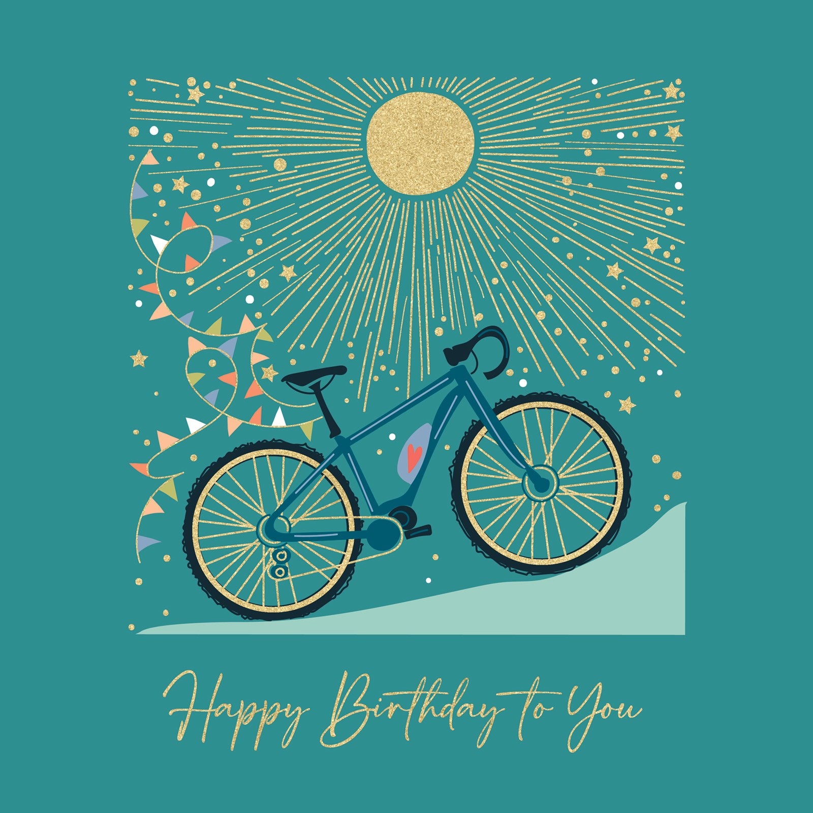 F217 Birthday Bike