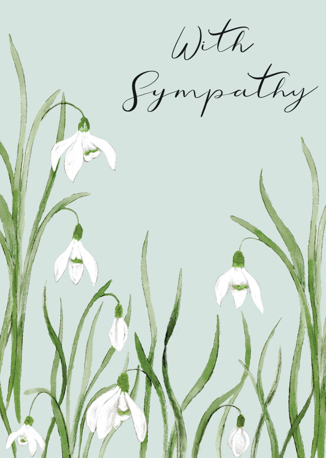 FN224 Sympathy