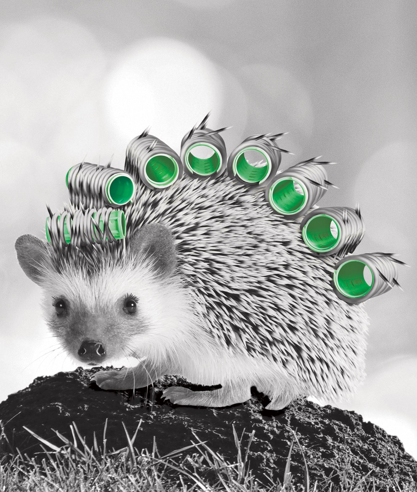 G424 Hedgehog Hair Day