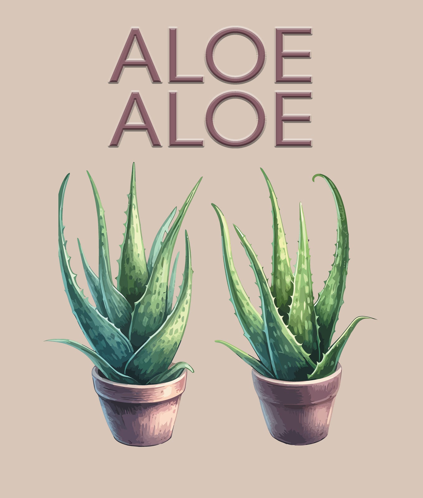 H023 Aloe Aloe