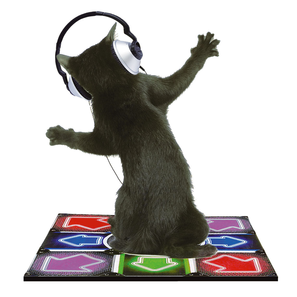 M421 Dancefloor Kitty