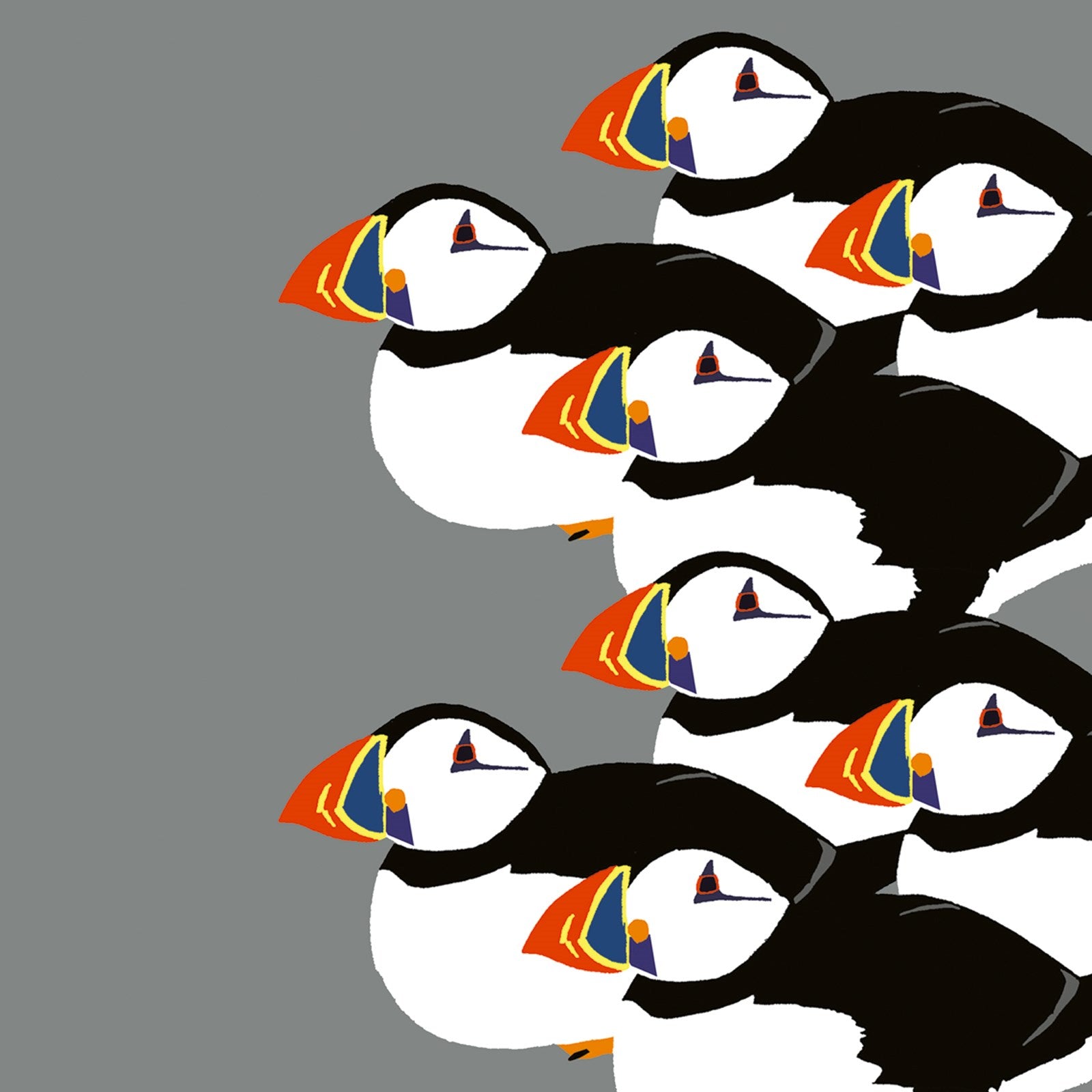 M511 Puffins