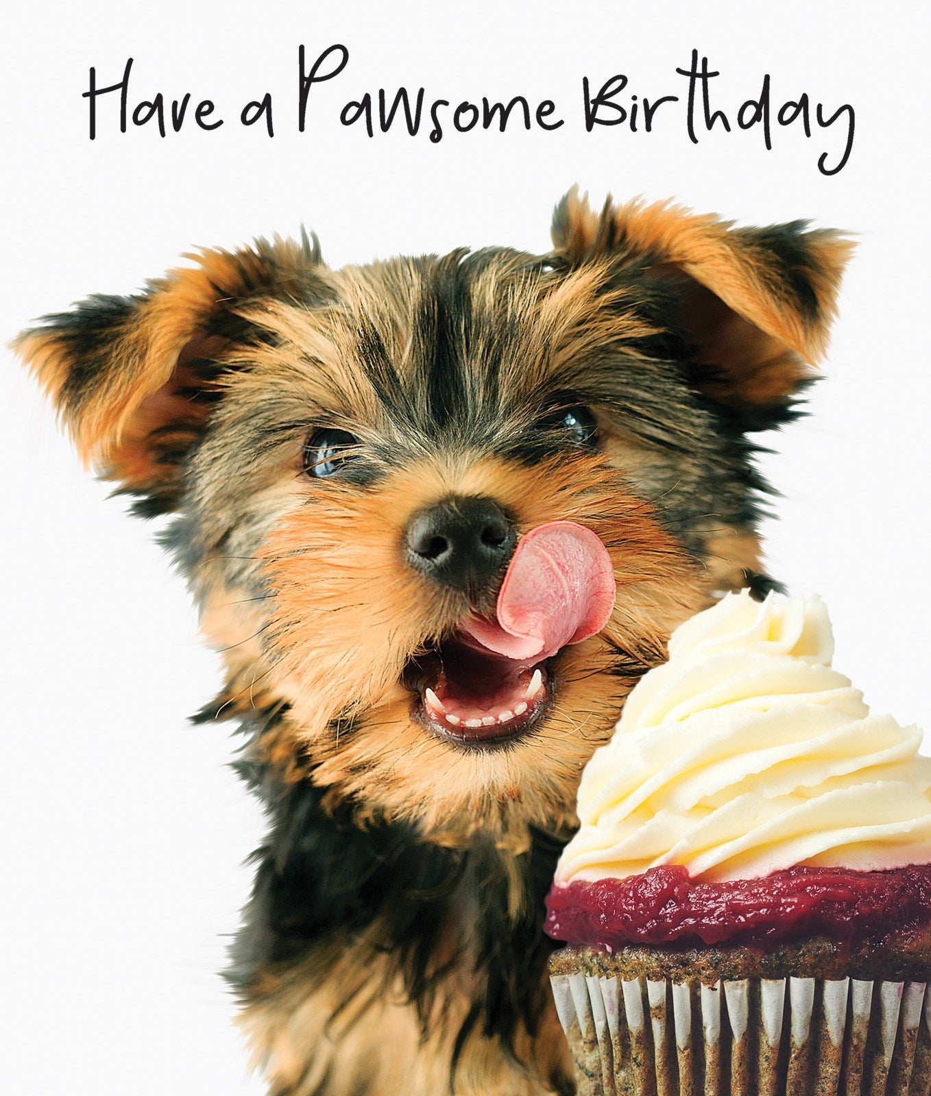 N876 Have a Pawsome Birthday