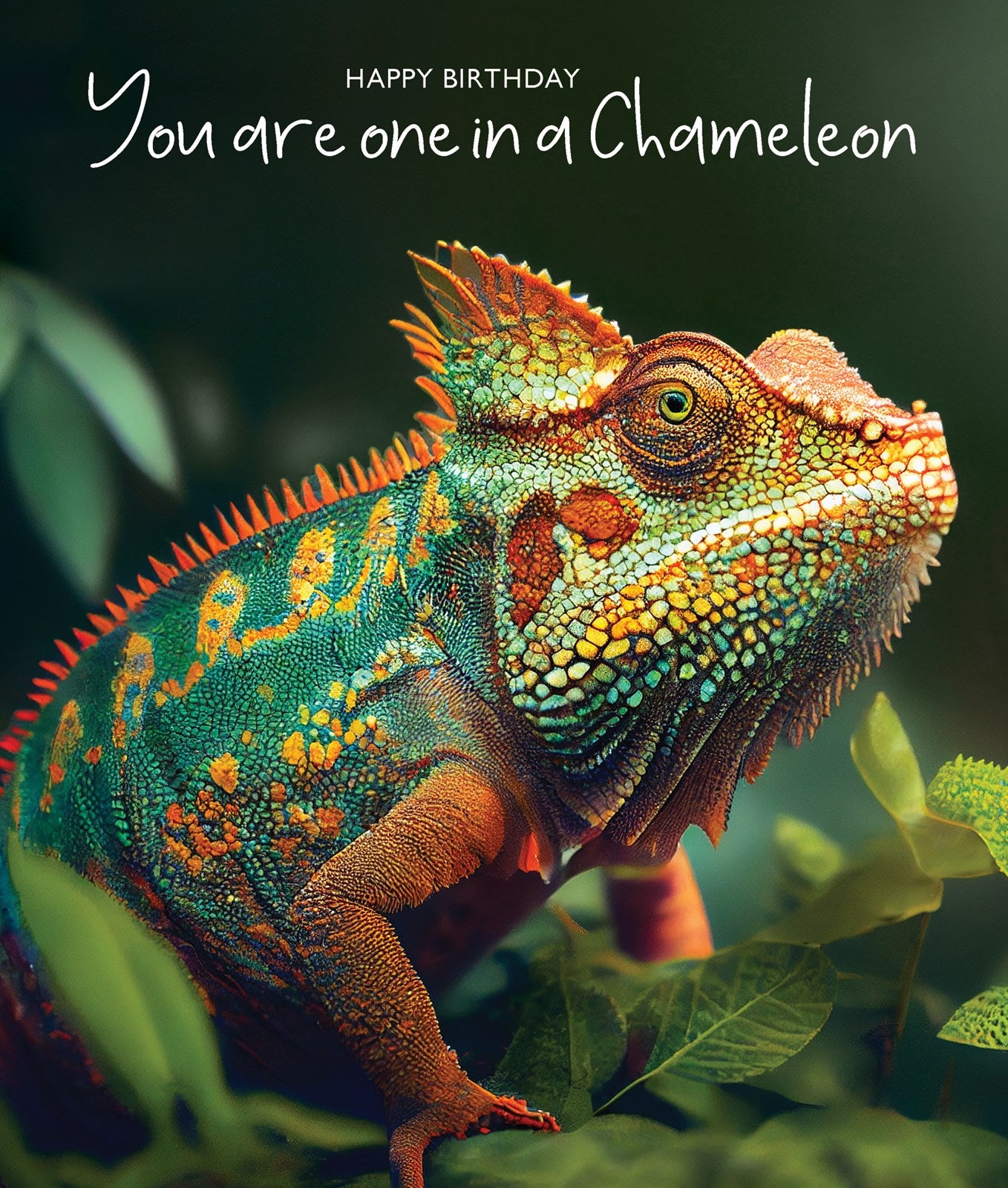 N879 Chameleon