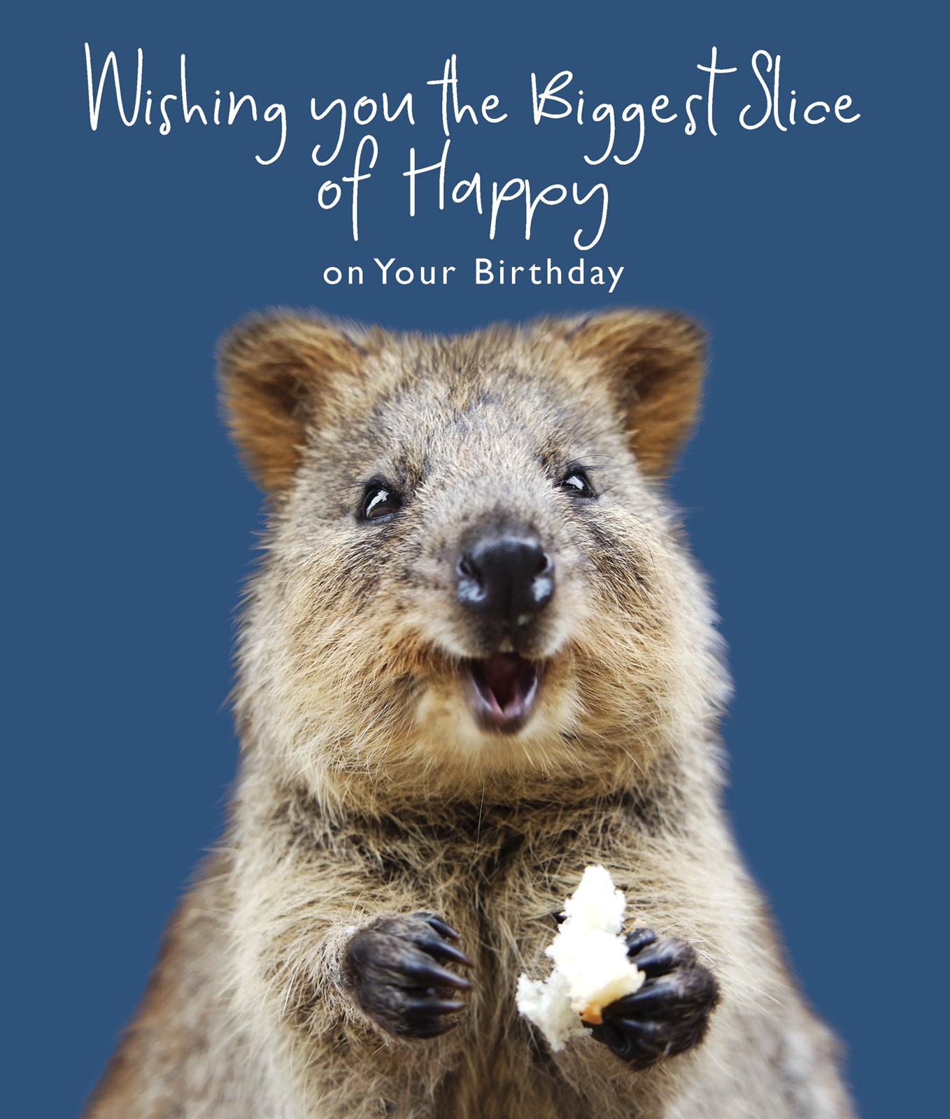 N881 Happy Quokka