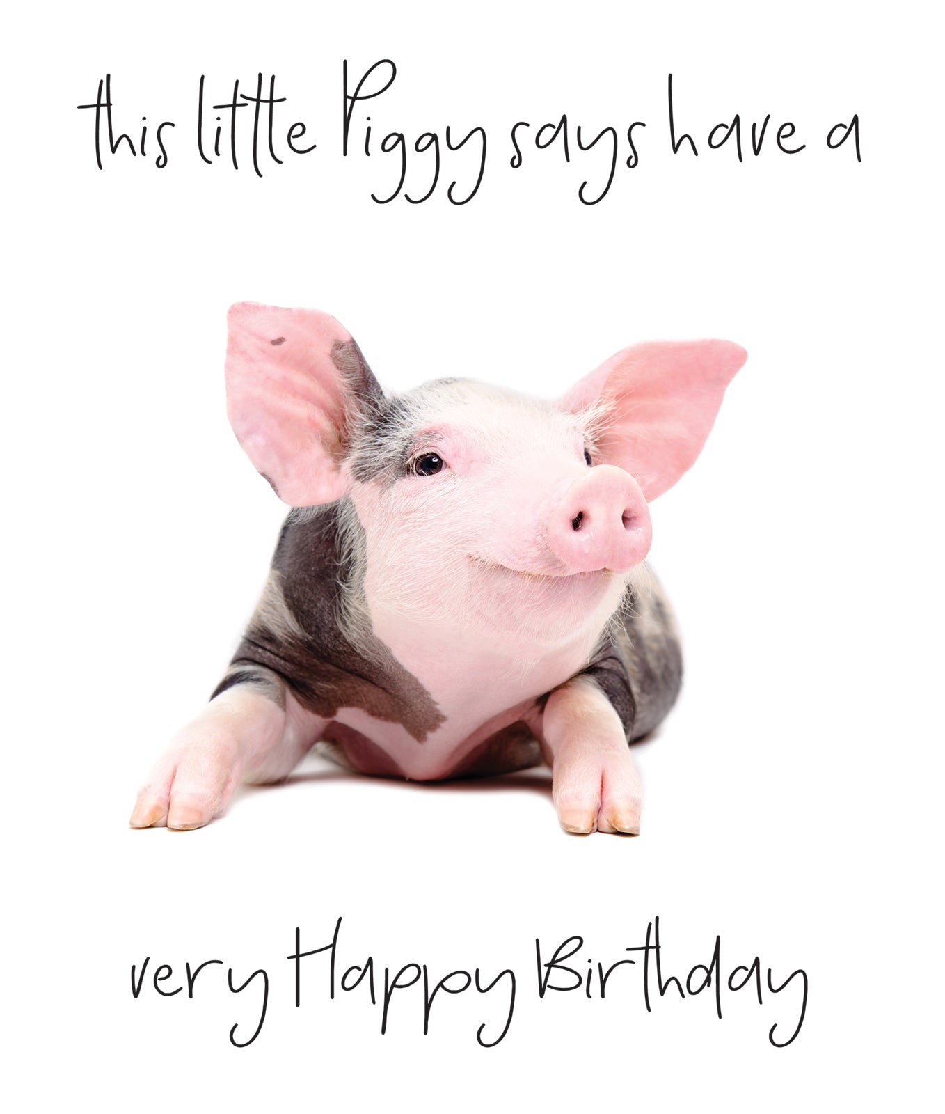 N886 This Little Piggy