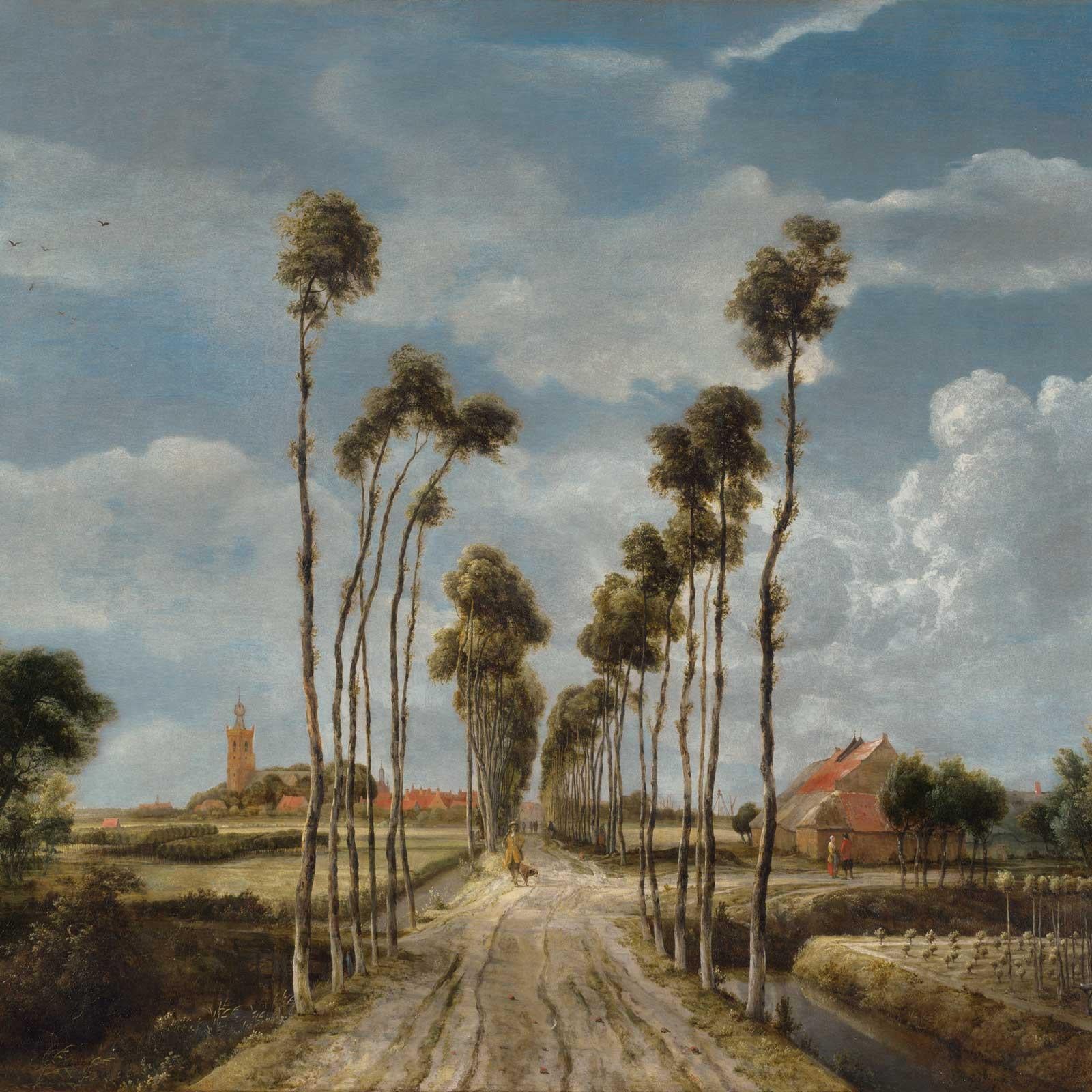 NG117 The Avenue at Middelharnis by Hobbema