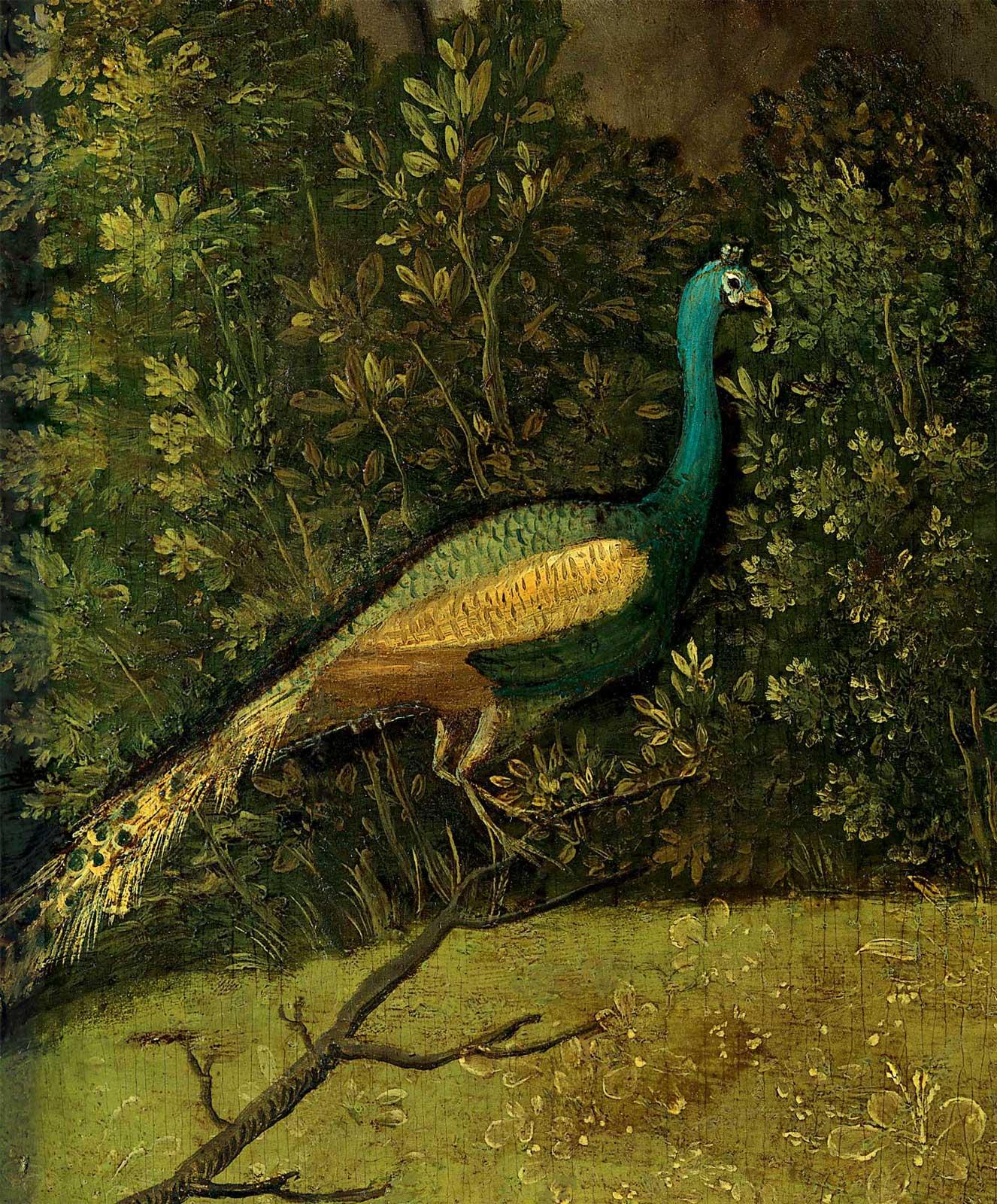 NG424 Peacock from Homage to a Poet