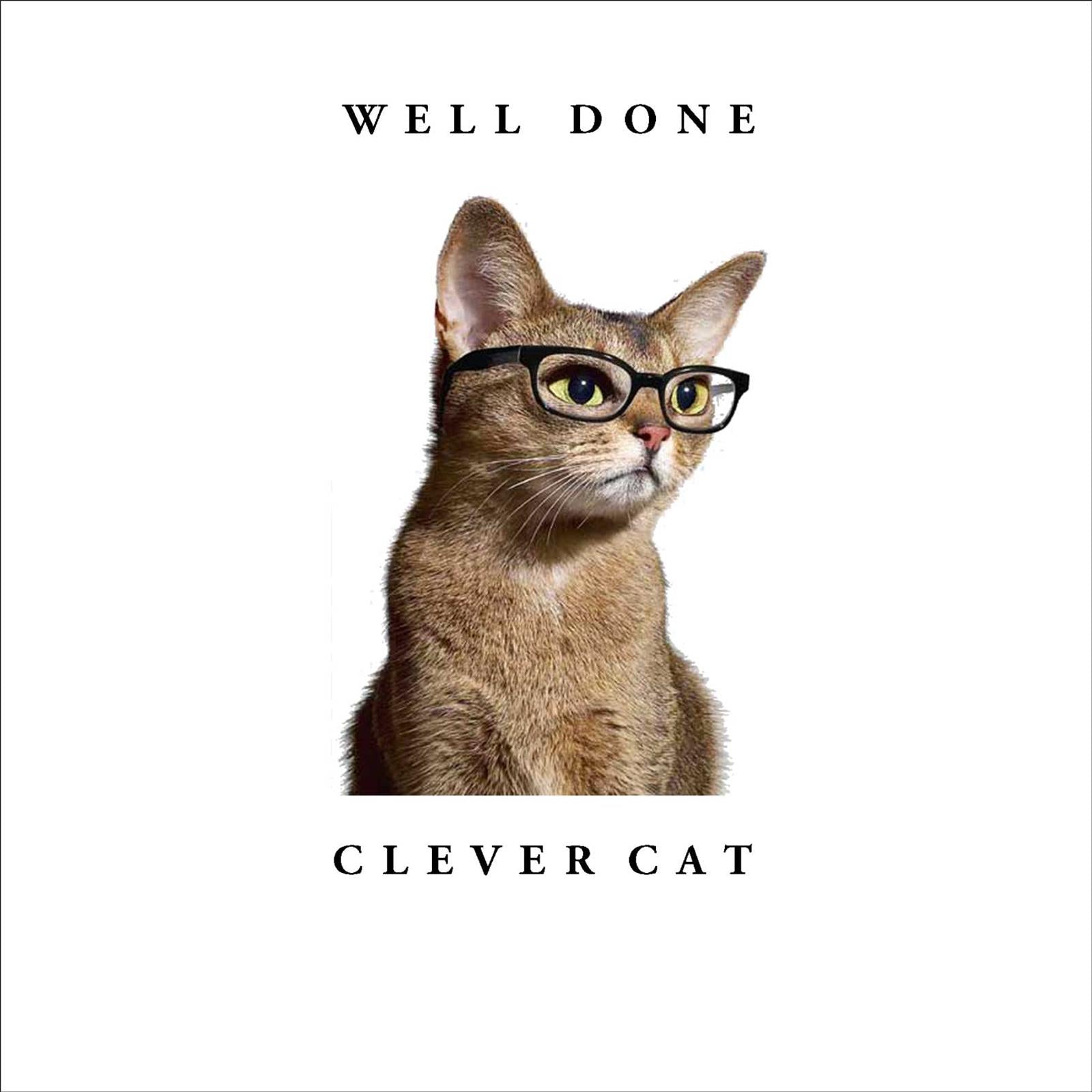 NW506 Well Done Clever Cat