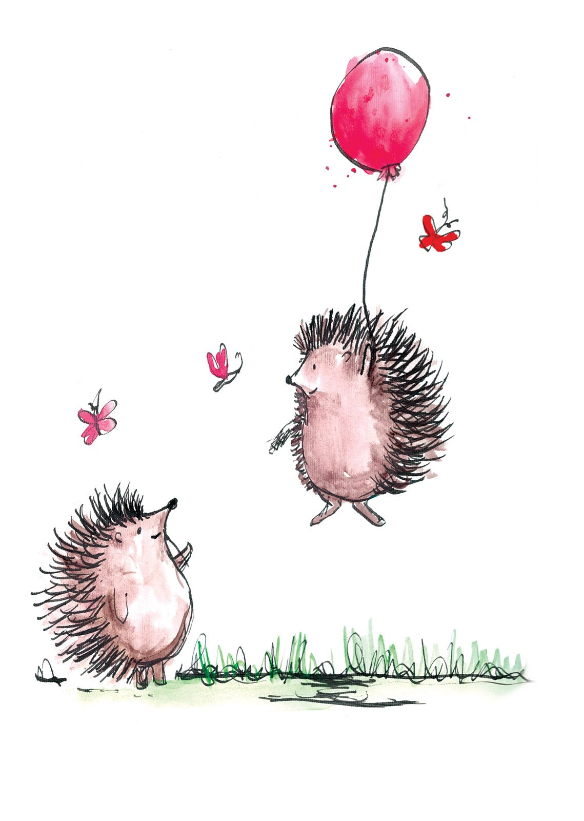 P364 Hedgehog Ballooning