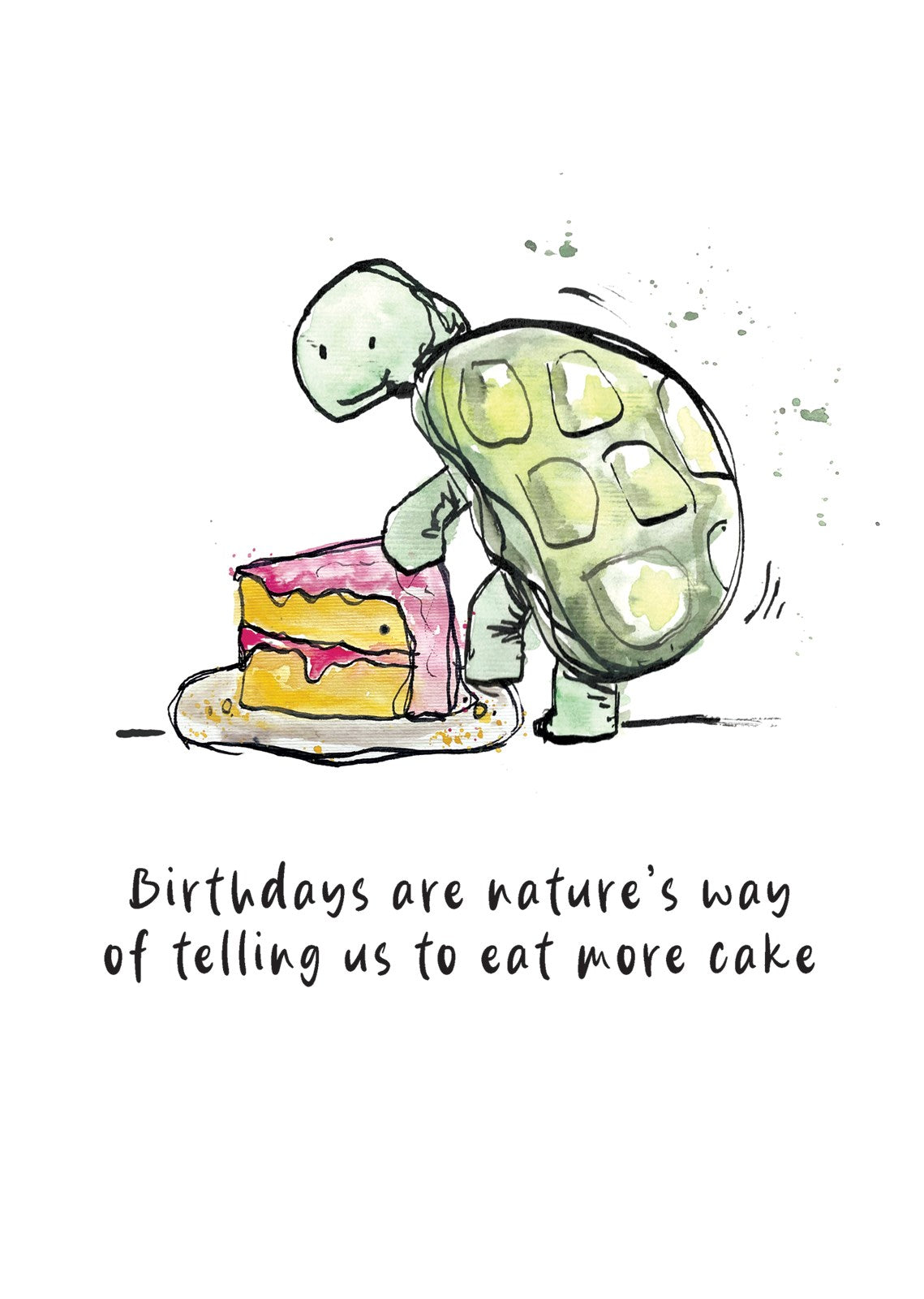 P372 Tortoise and Cake