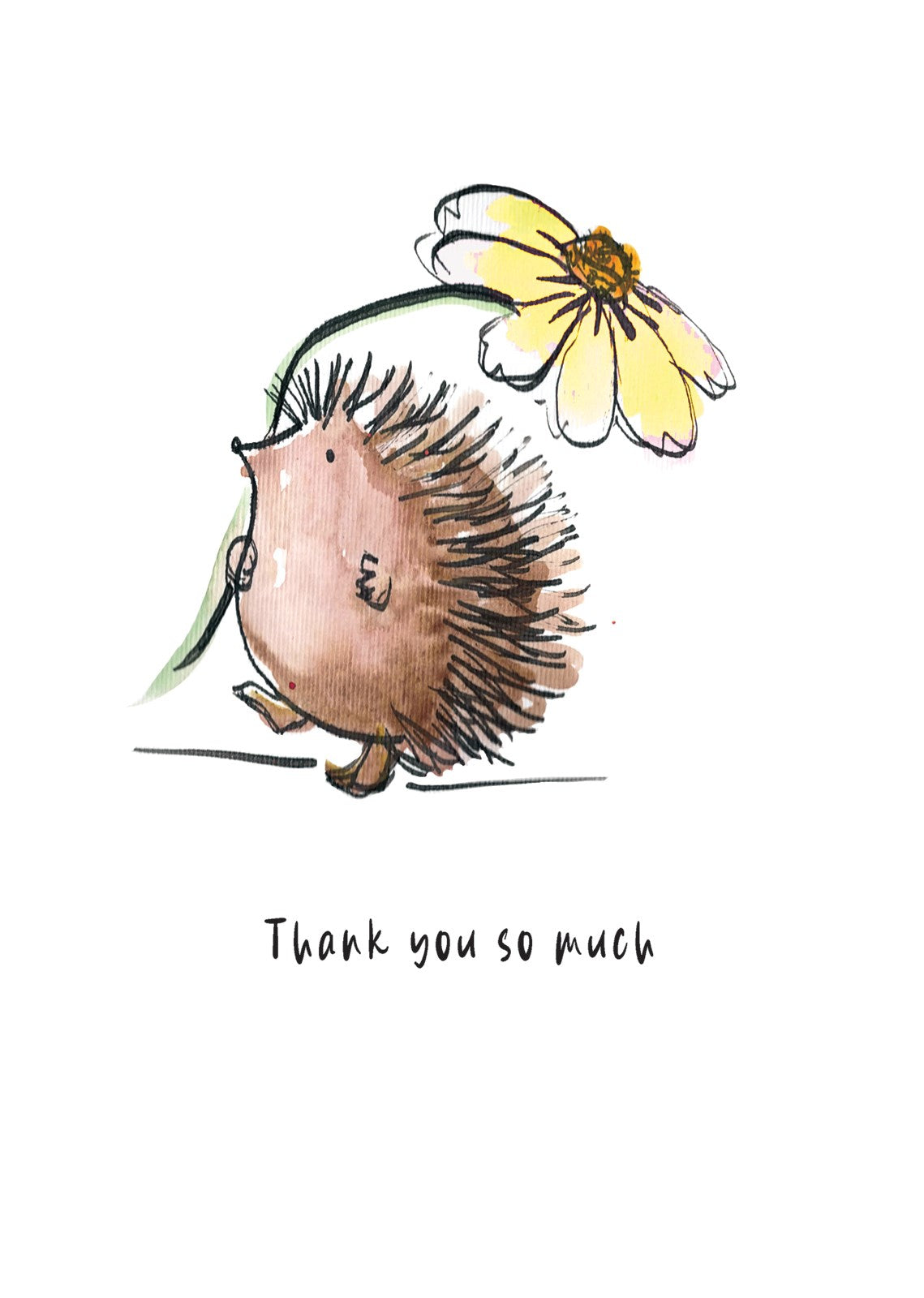 P402 Thank you Hedgehog