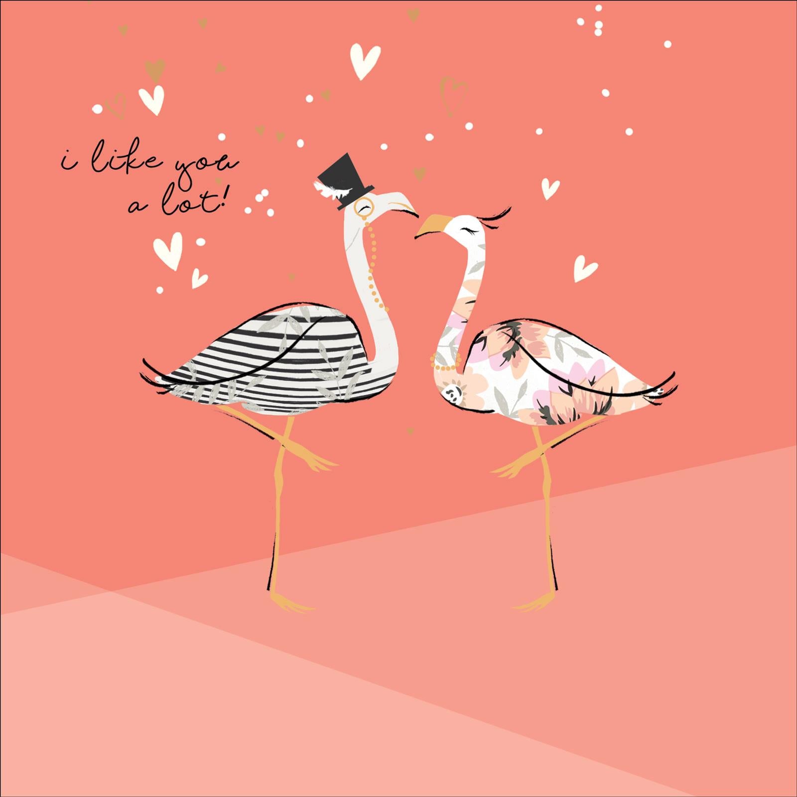 S002 Like You a Lot Flamingos