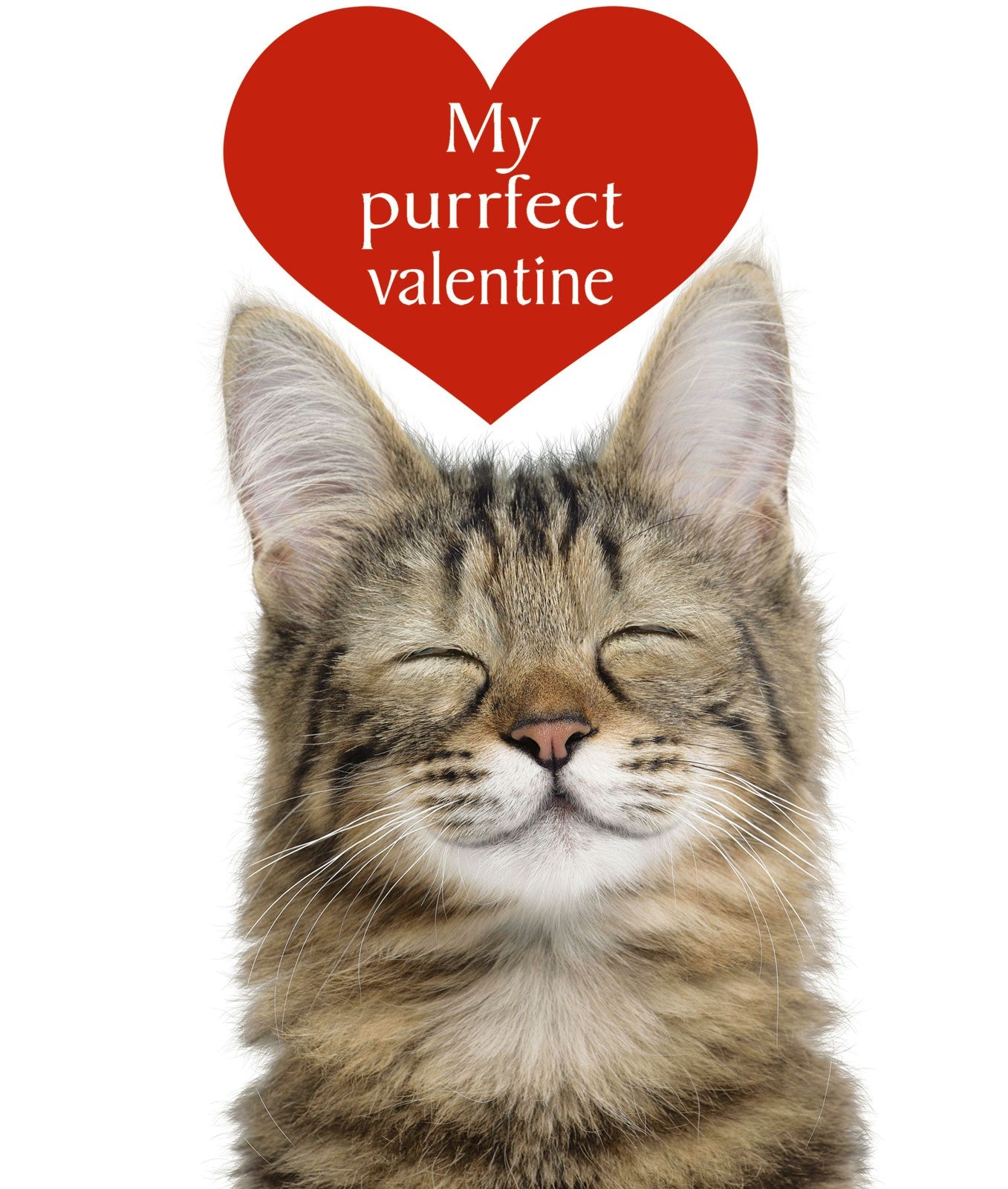 S146 My Purrfect Valentine