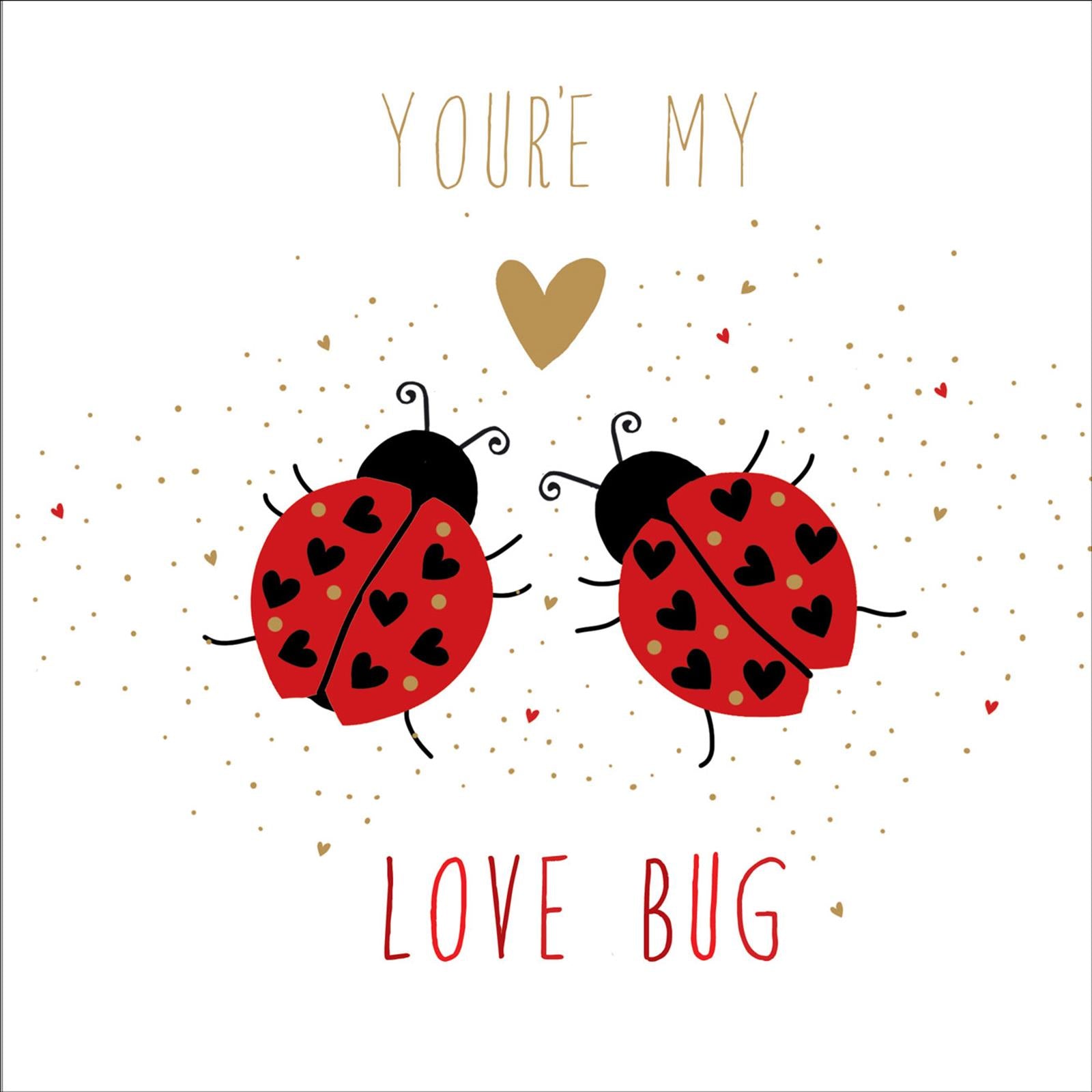 S176 Love Bug