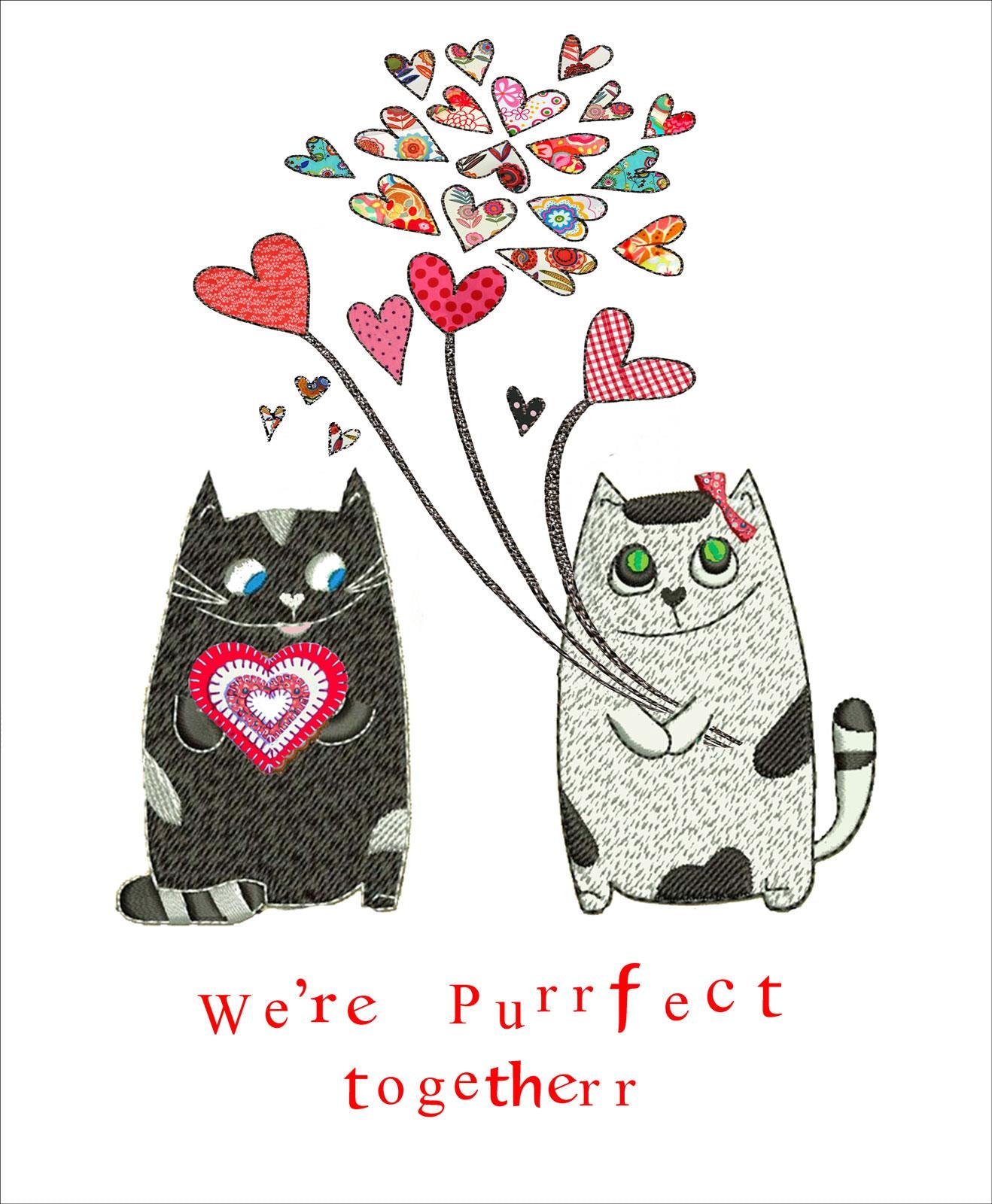 S225 We're purrfect