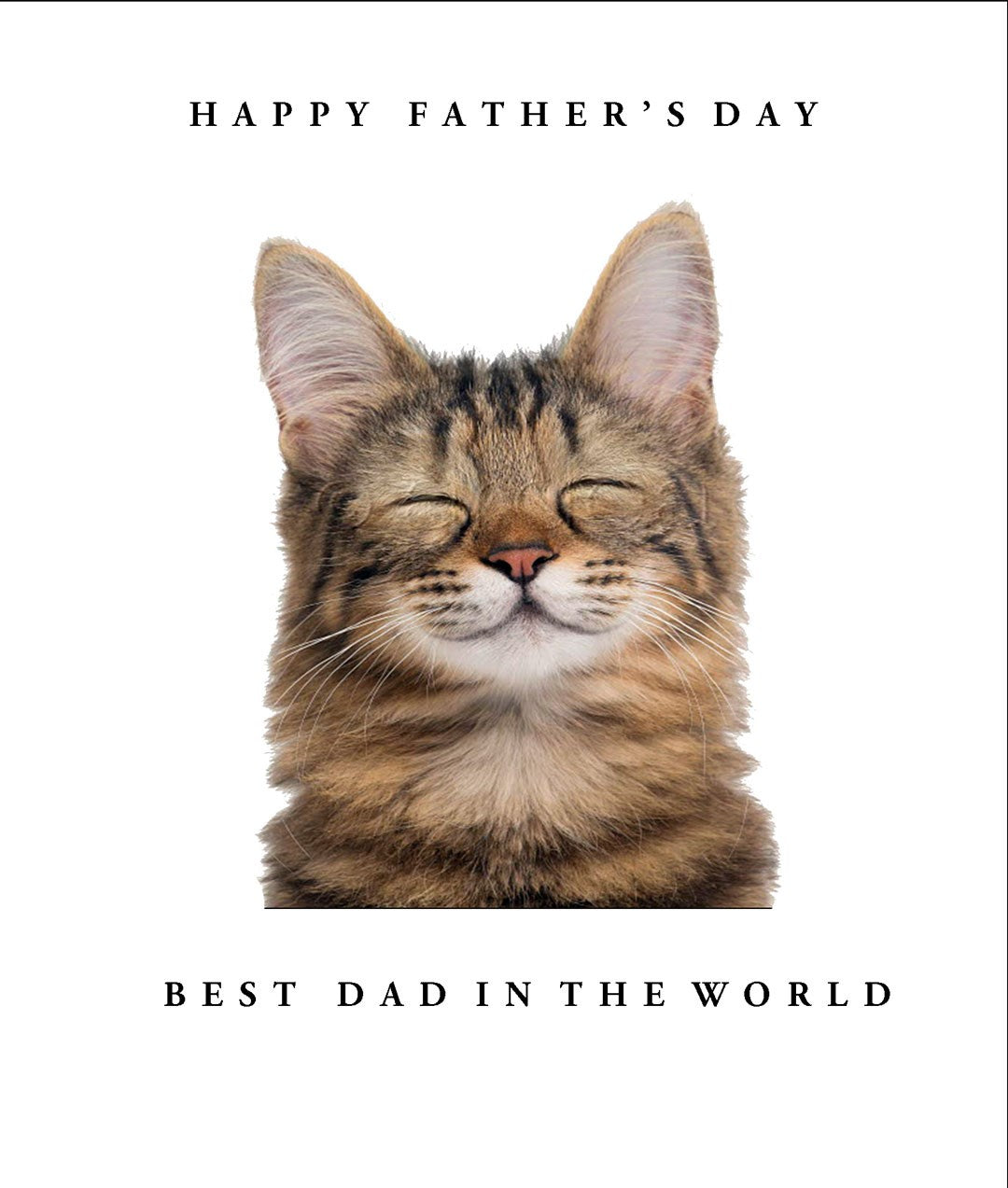 S451 Best Dad in the World Cat