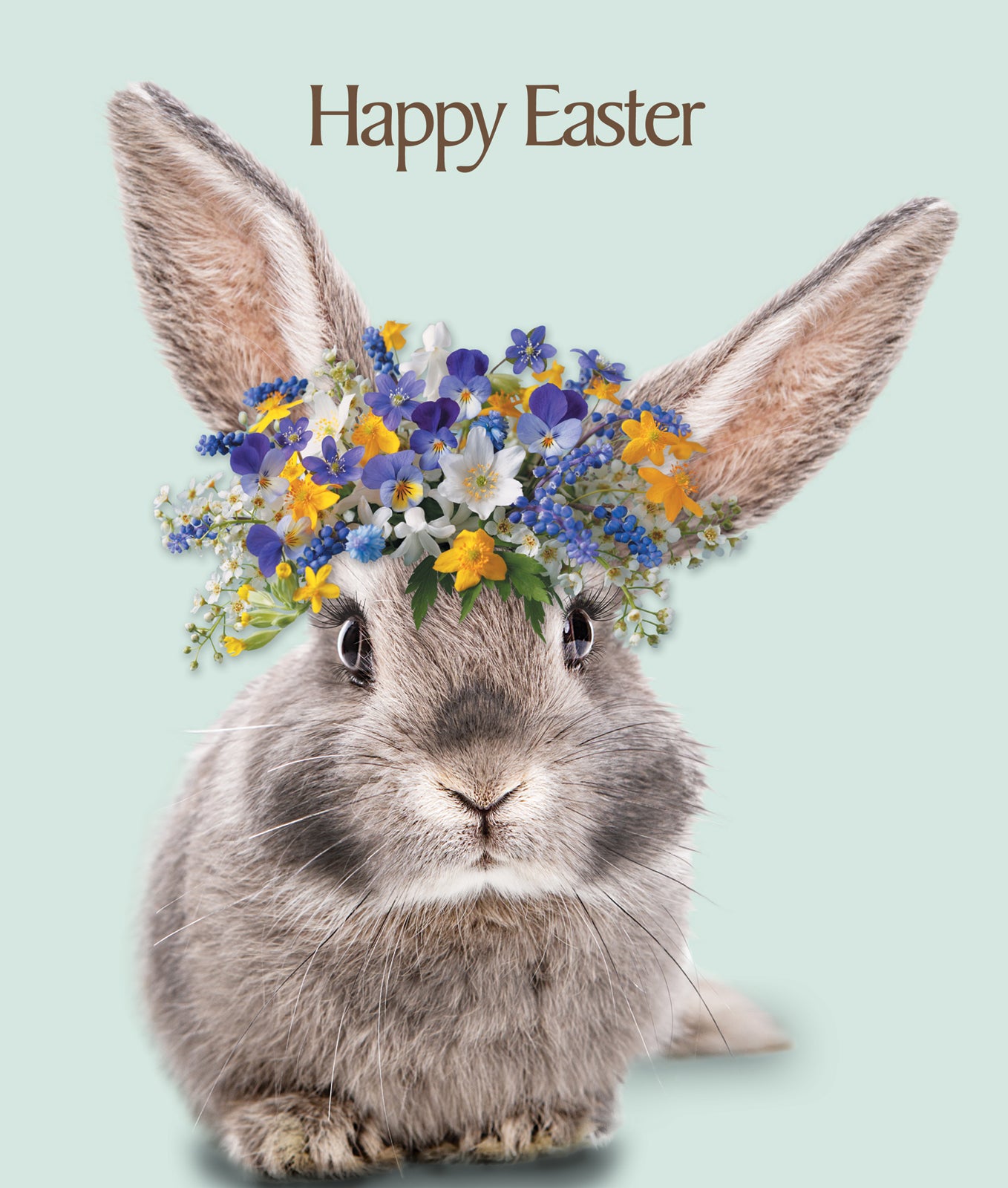 S544 Beautiful Rabbit