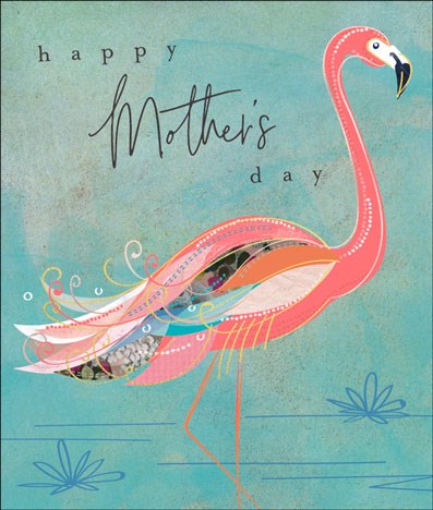 S659 Mother Flamingo