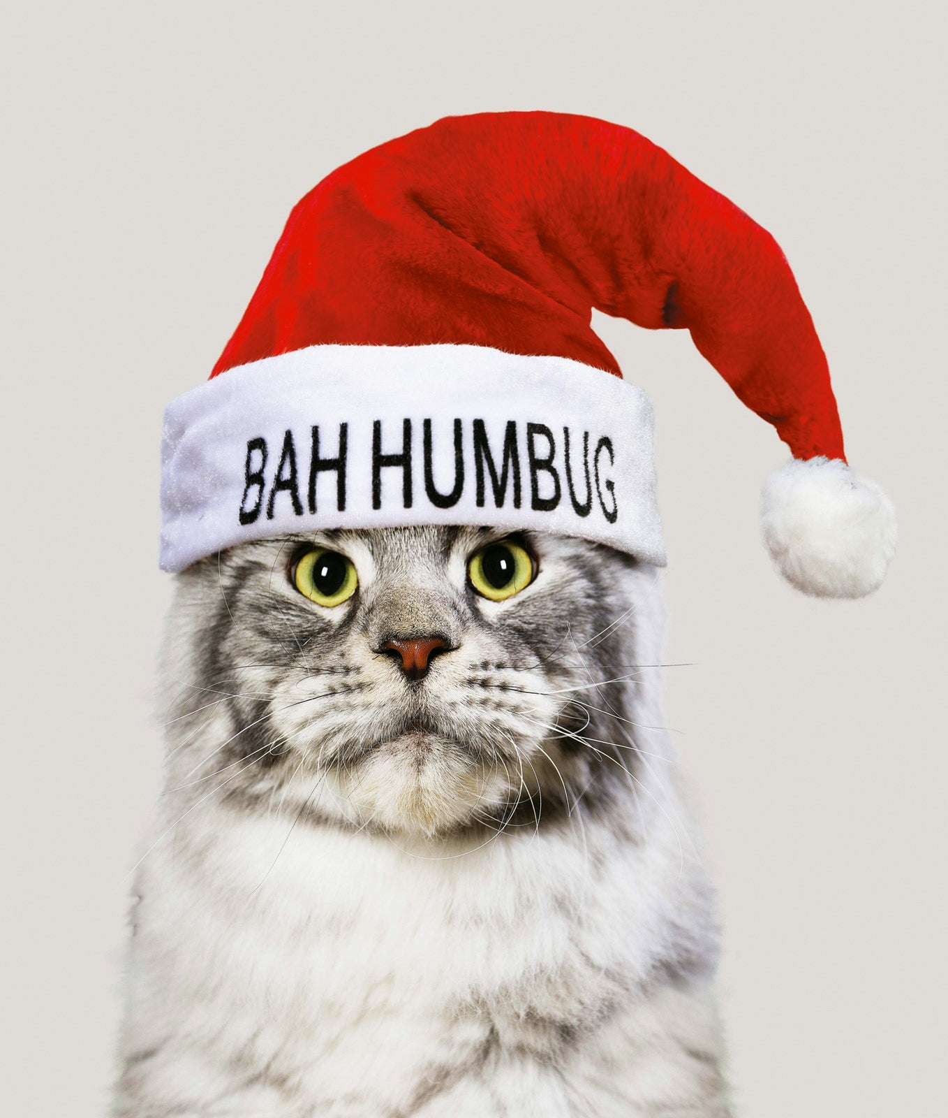 X447 Bah Humbug Cat