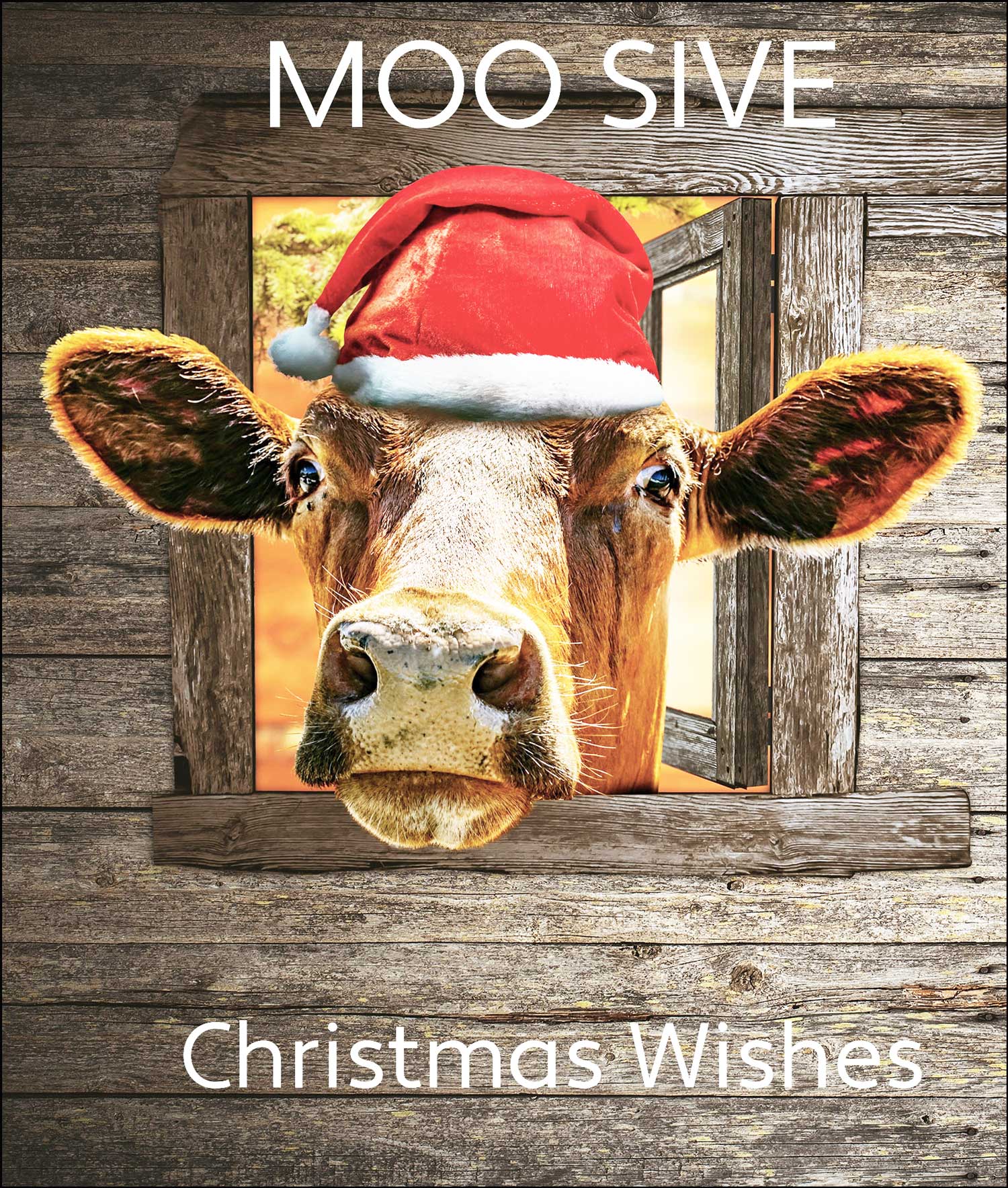 Cow wearing a Santa hat with 'Moo Sive' and 'Christmas Wishes' text on a wooden background