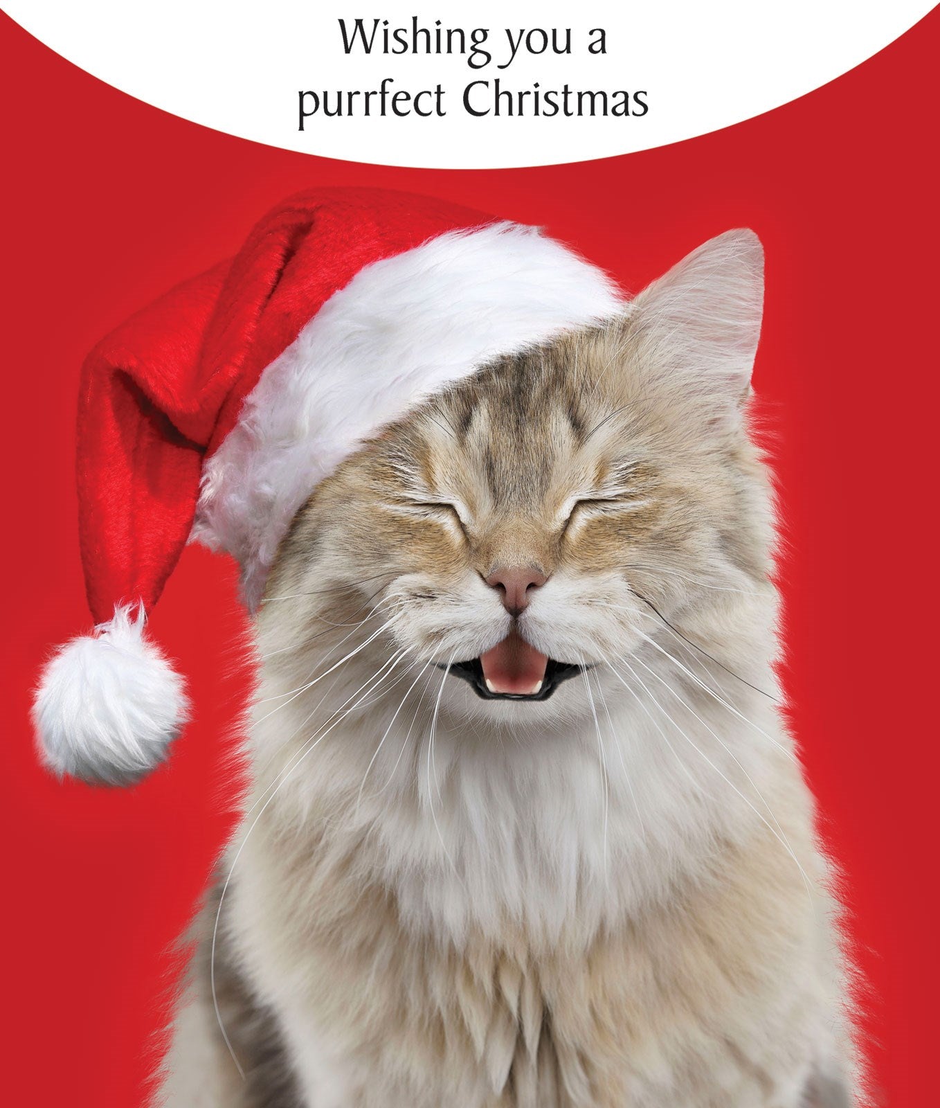 X607 Purrfect Christmas (NEW)