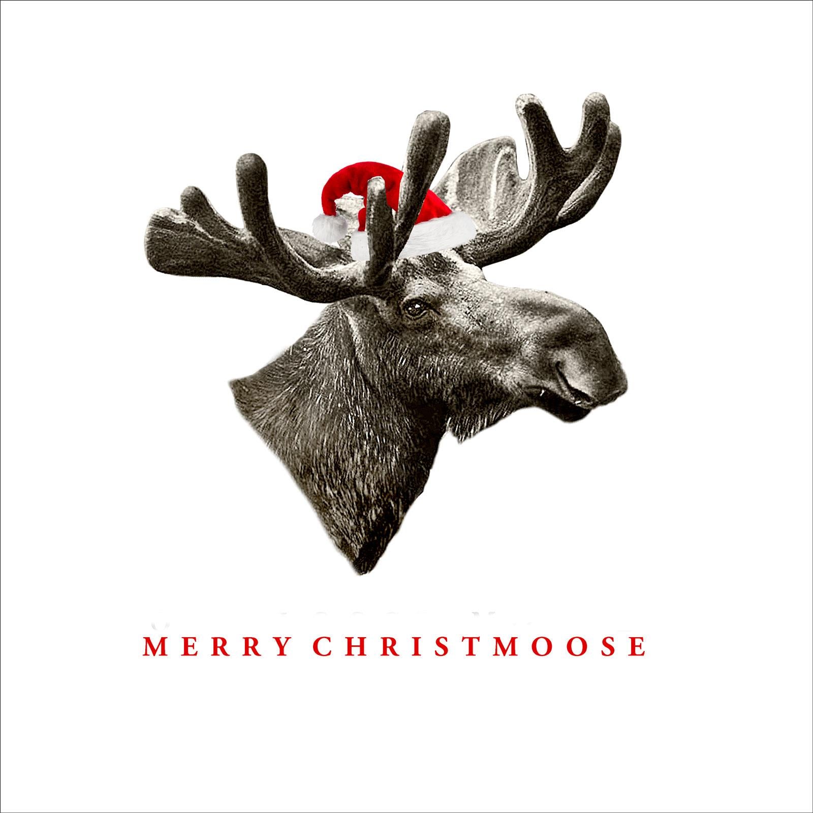 XW03 Merry Christmoose