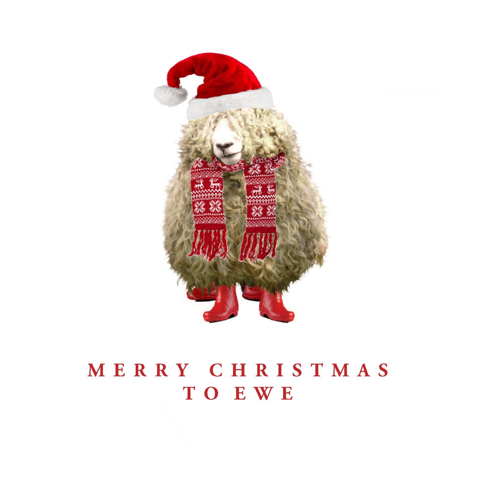 XW08 Merry Christmas to Ewe