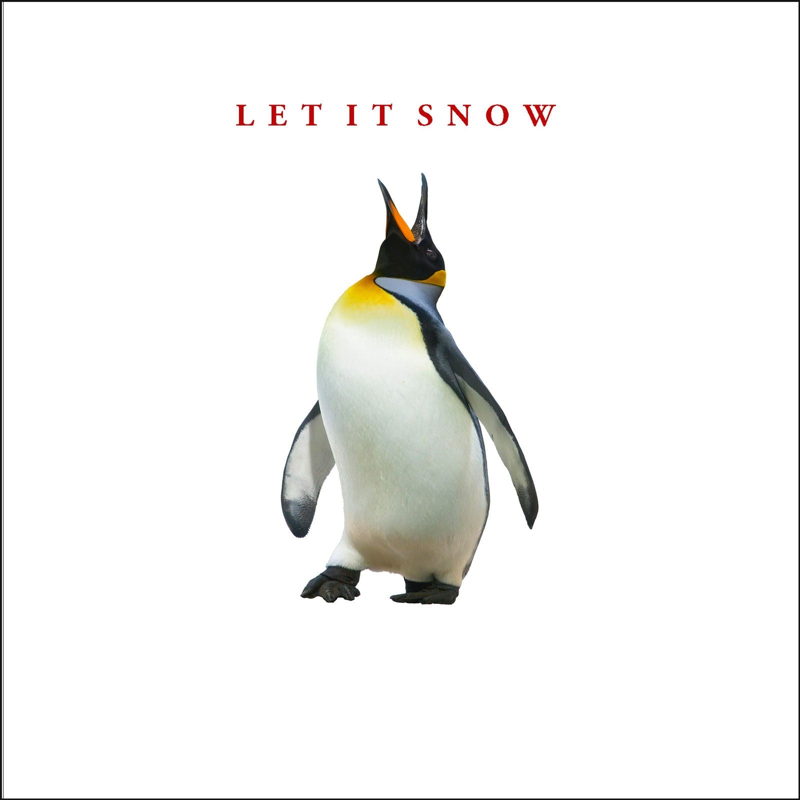 XW09 Let it Snow (NEW)